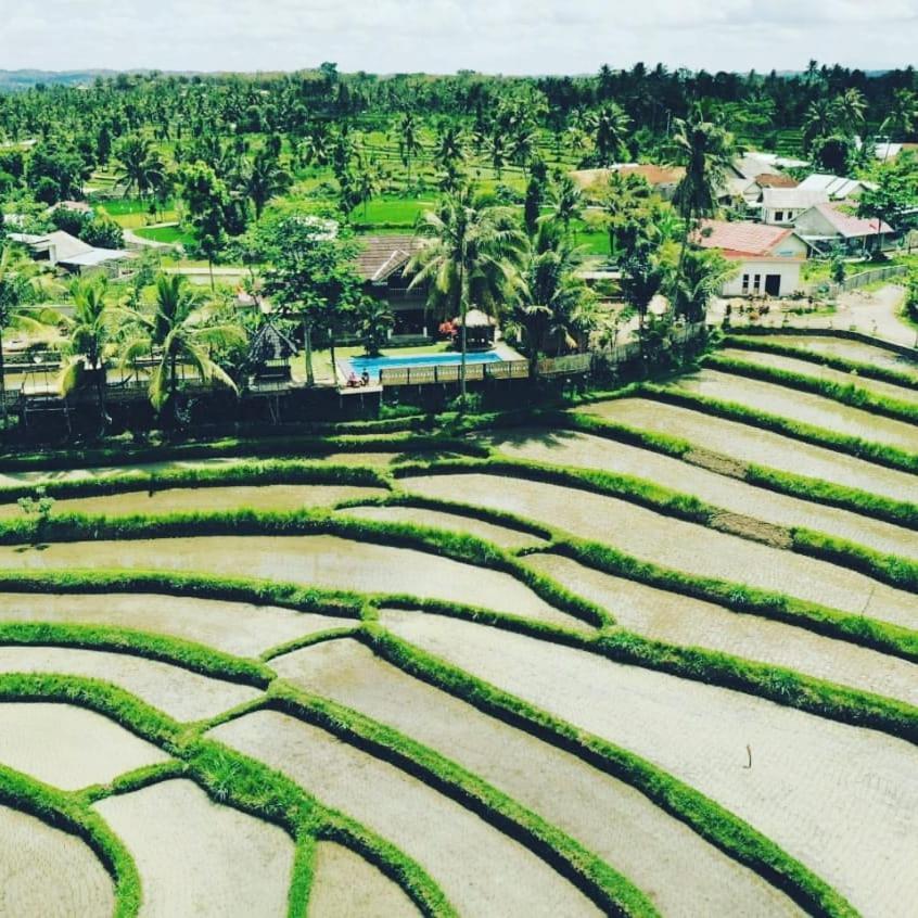 Peraja Bungalows Loyok Sangyang Exteriör bild