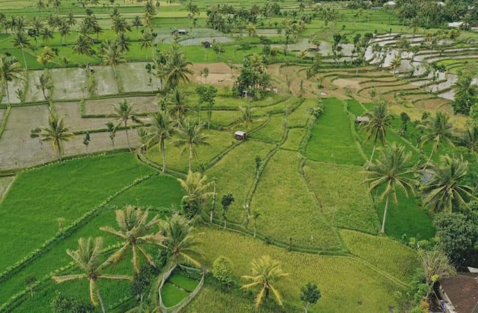 Peraja Bungalows Loyok Sangyang Exteriör bild